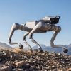 Unitree AS2 im Lauf über Geröll Unitree AS2 vierbeiniger Industrie-Roboter im Lauf