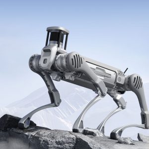 Unitree B2 vierbeiniger Industrie-Roboter mit LiDAR im Gebirge