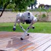 Unitree Go2 Outdoor Unitree Go2 Roboterhund Outdoor